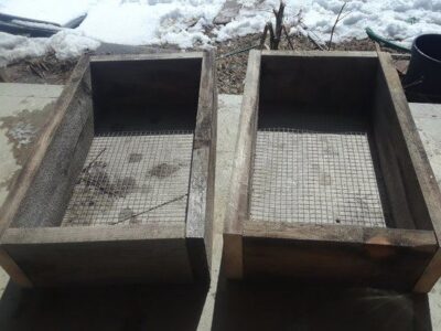 Growing Bare Root Trees with Air-Prune Beds Image